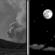 Friday Night: Patchy Smoke then Mostly Clear